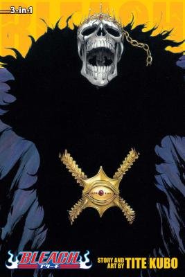 Cover of Bleach 3-in-1 Edition 15