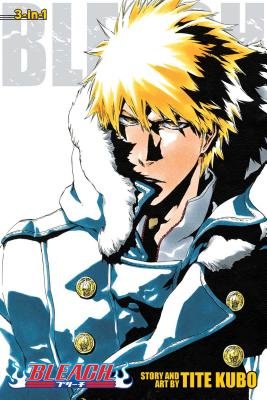 Cover of Bleach 3-in-1 Edition 17