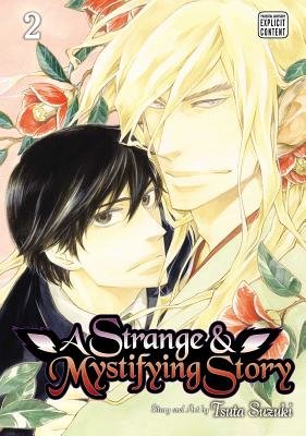 Cover of A Strange and Mystifying Story Vol. 2
