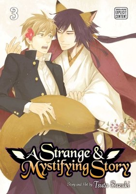 Cover of A Strange and Mystifying Story Vol 3