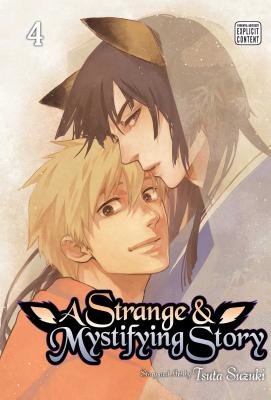 Cover of A Strange and Mystifying Story Vol 4