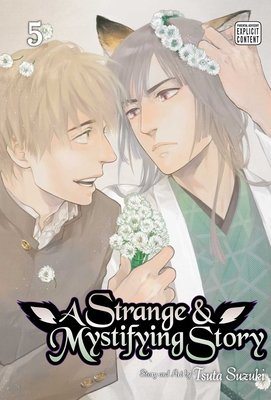 Cover of A Strange and Mystifying Story Vol 5
