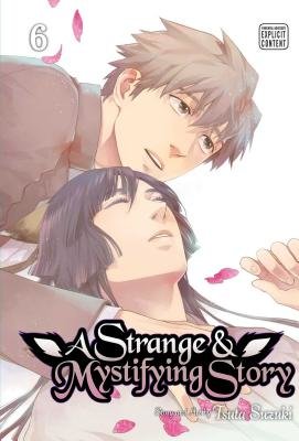 Cover of A Strange and Mystifying Story Vol 6