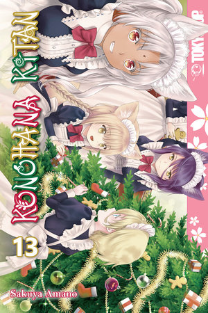 Cover of Konohana Kitan Vol 13