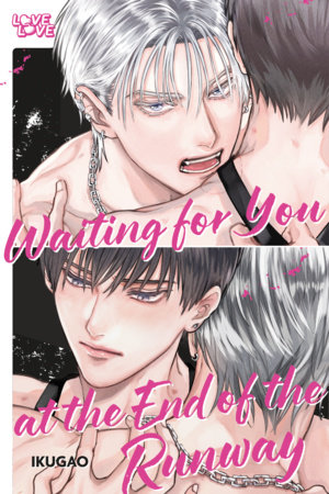 Cover of Waiting for You at the End of the Runway