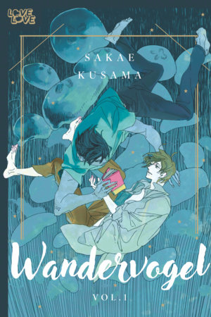 Cover of Wandervogel