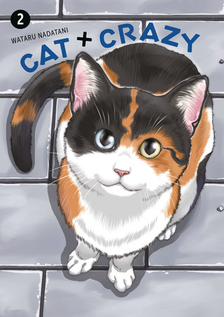 Cover of Cat + Crazy Vol 2