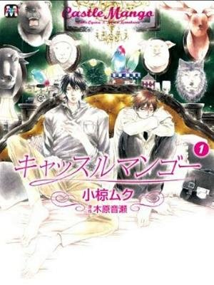 Cover of Castle Mango