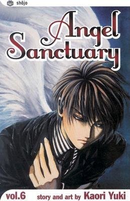 Cover of Angel Sanctuary Vol 6