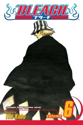 Cover of Bleach Vol 6