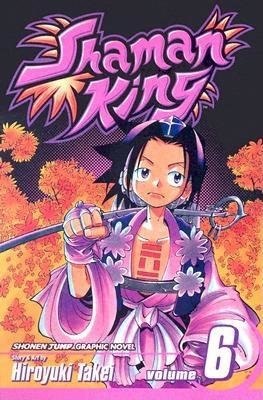 Cover of SHAMAN KING Vol 6