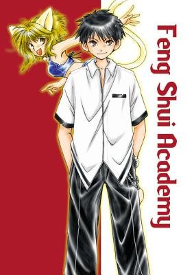 Cover of Feng Shui Academy
