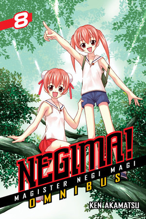 Cover of Negima! Vol. 22–23