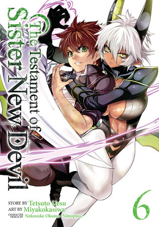 Cover of The Testament of Sister New Devil Vol 6