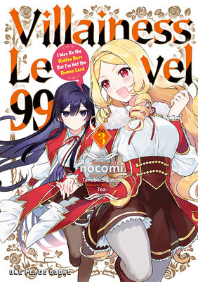Cover of Villainess Level 99 Vol. 3