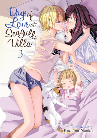 Cover of Days of Love at Seagull Villa Vol 3