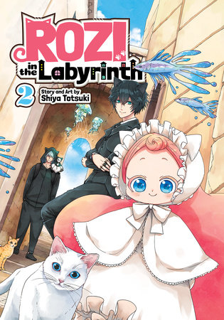 Cover of Rozi in the Labyrinth Vol 2