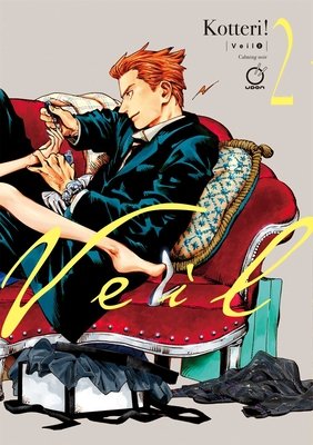 Cover of Veil Vol 2