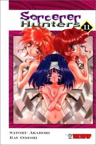 Cover of Sorcerer Hunters Vol 11