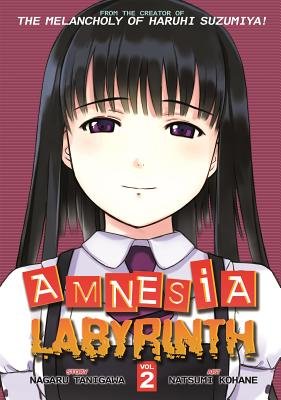 Cover of Amnesia Labyrinth Vol 2