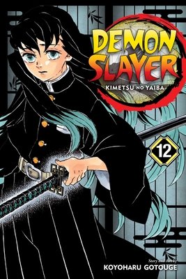 Cover of Demon Slayer: Kimetsu no Yaiba Vol 12