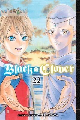 Cover of Black Clover Vol 22