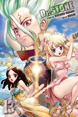 Cover of Dr. Stone Vol 13