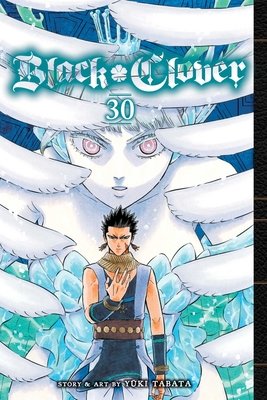 Cover of Black Clover Vol 30