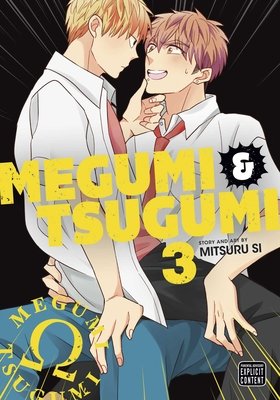 Cover of Megumi & Tsugumi Vol 3