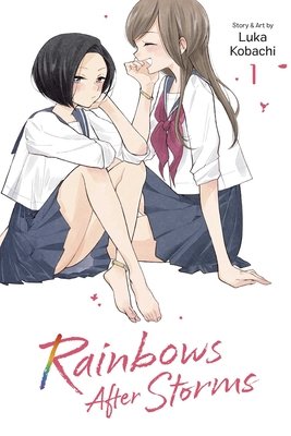 Cover of Rainbows After Storms