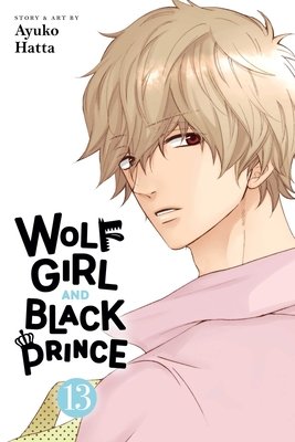 Cover of Wolf Girl and Black Prince Vol 13