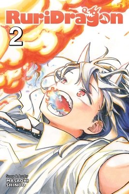 Cover of RuriDragon Vol 2