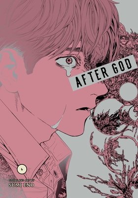 Cover of After God Vol 6