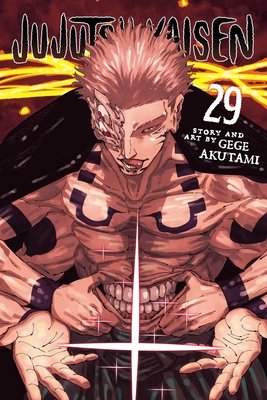 Cover of Jujutsu Kaisen Vol 29