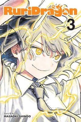 Cover of RuriDragon Vol 3