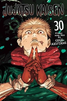 Cover of Jujutsu Kaisen Vol 30