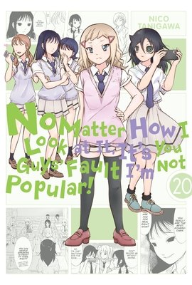 Cover of No Matter How I Look at It, It's You Guys' Fault I'm Not Popular! Vol 20