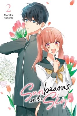Cover of Sunbeams in the Sky Vol 2