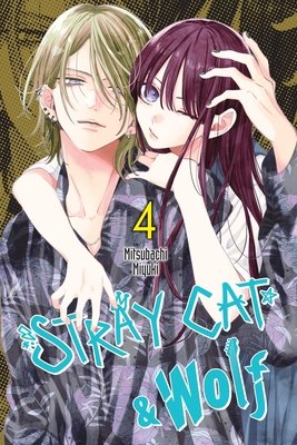 Cover of Stray Cat & Wolf Vol 4