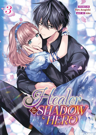 Cover of Healer for the Shadow Hero
