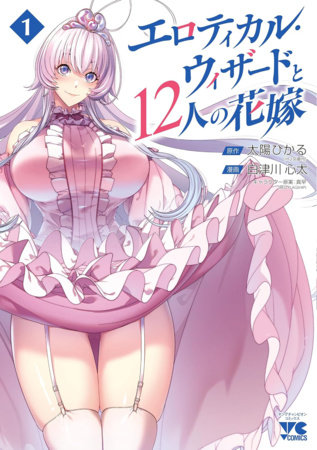 Cover of The Erotical Wizard and His Twelve Brides Vol. 1