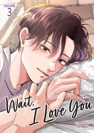 Cover of Wait, I Love You Vol 3