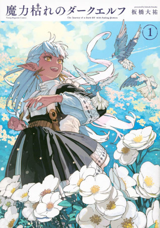 Cover of The Journey of a Dark Elf with Fading Powers