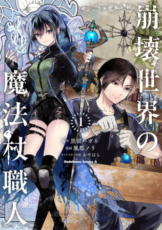 Cover of Wandmaker of the Ruined World